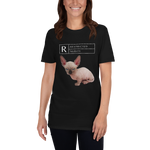 black Rated R Nudity sphynx cat tees