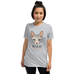 grey bald is beautiful sphynx cat tees